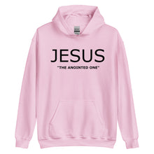 Load image into Gallery viewer, JESUS Unisex Hoodie