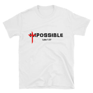 POSSIBLE 2