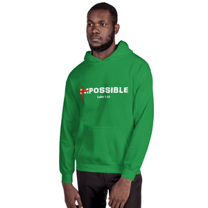 "POSSIBLE" Hoodie